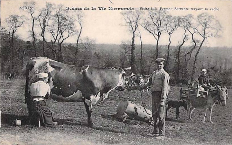 004 19000000s RURAL LIFE IN NORMANDY 07.jpg